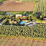 Haus Olivo By Interhome * Castagneto Carducci